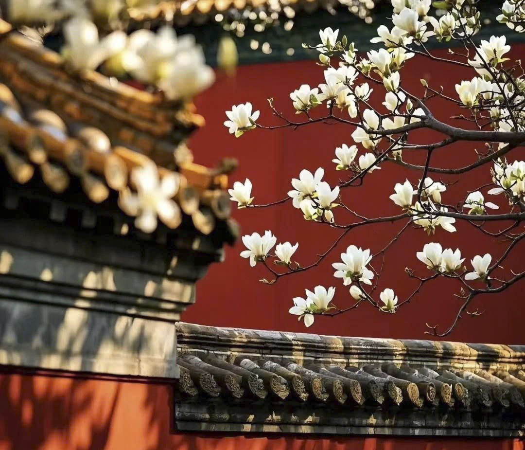 CHƯƠNG TRÌNH DU LỊCH  BẮC KINH MONO NEW